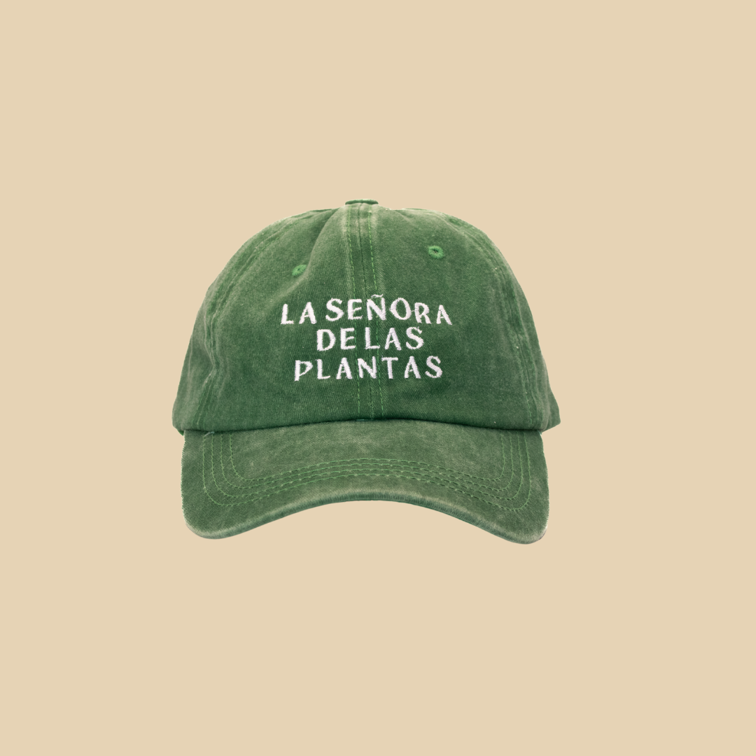 Kit Doña Monstera