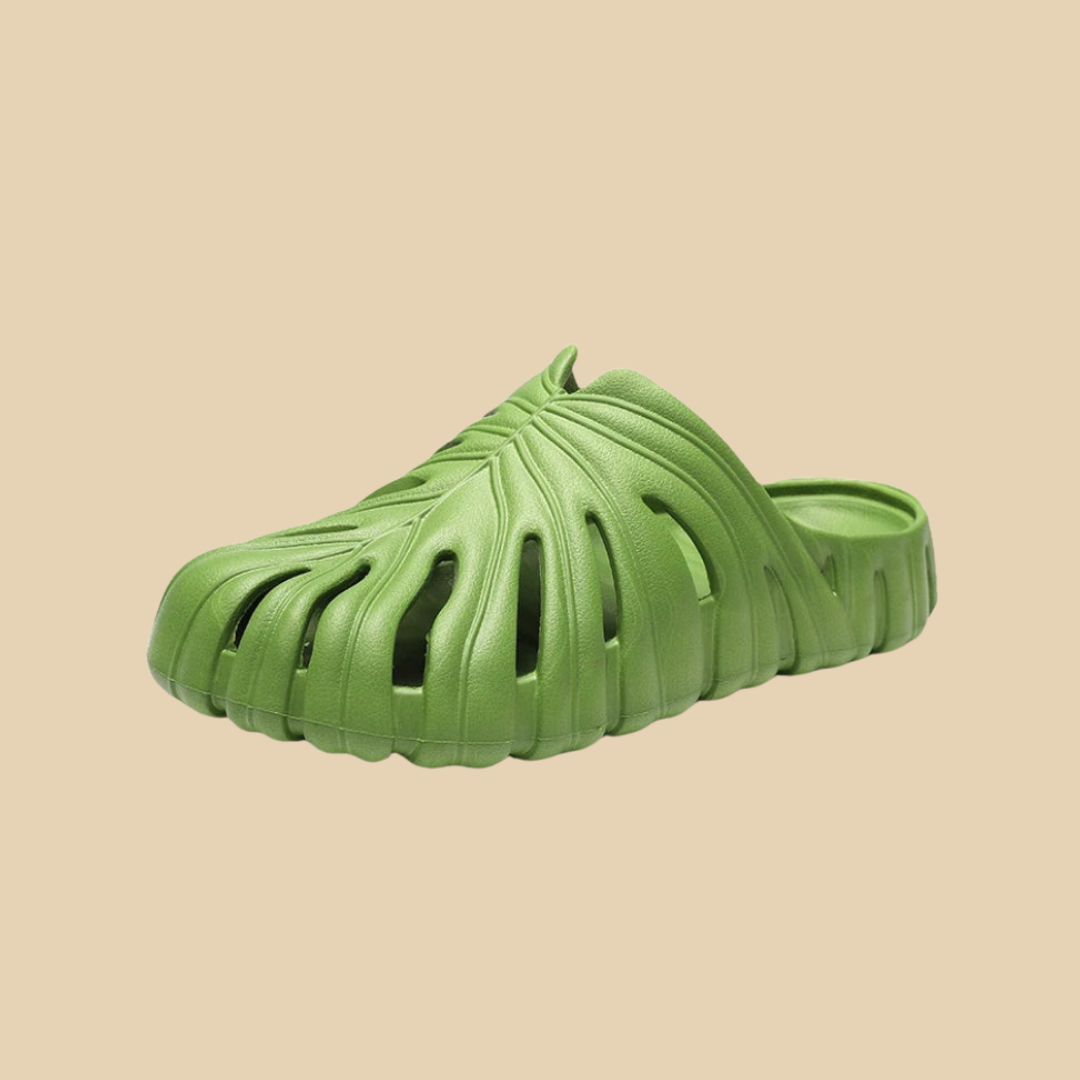 Kit Doña Monstera