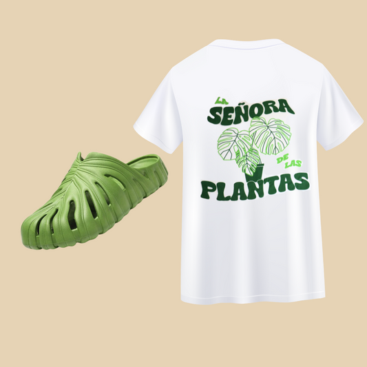 Pack planta Reyna