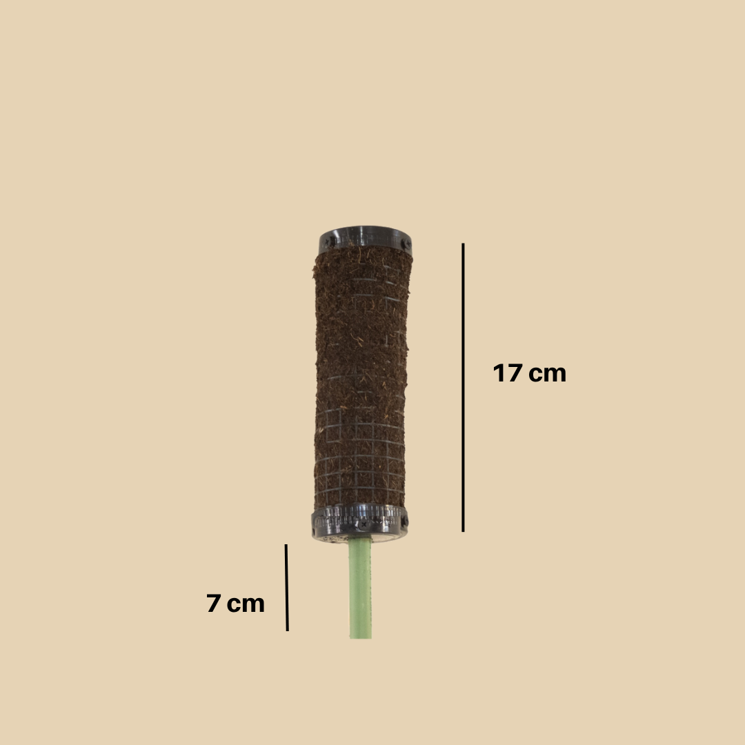 Kit Señora de las plantas