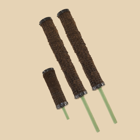 Kit Mini Tutores Combo
