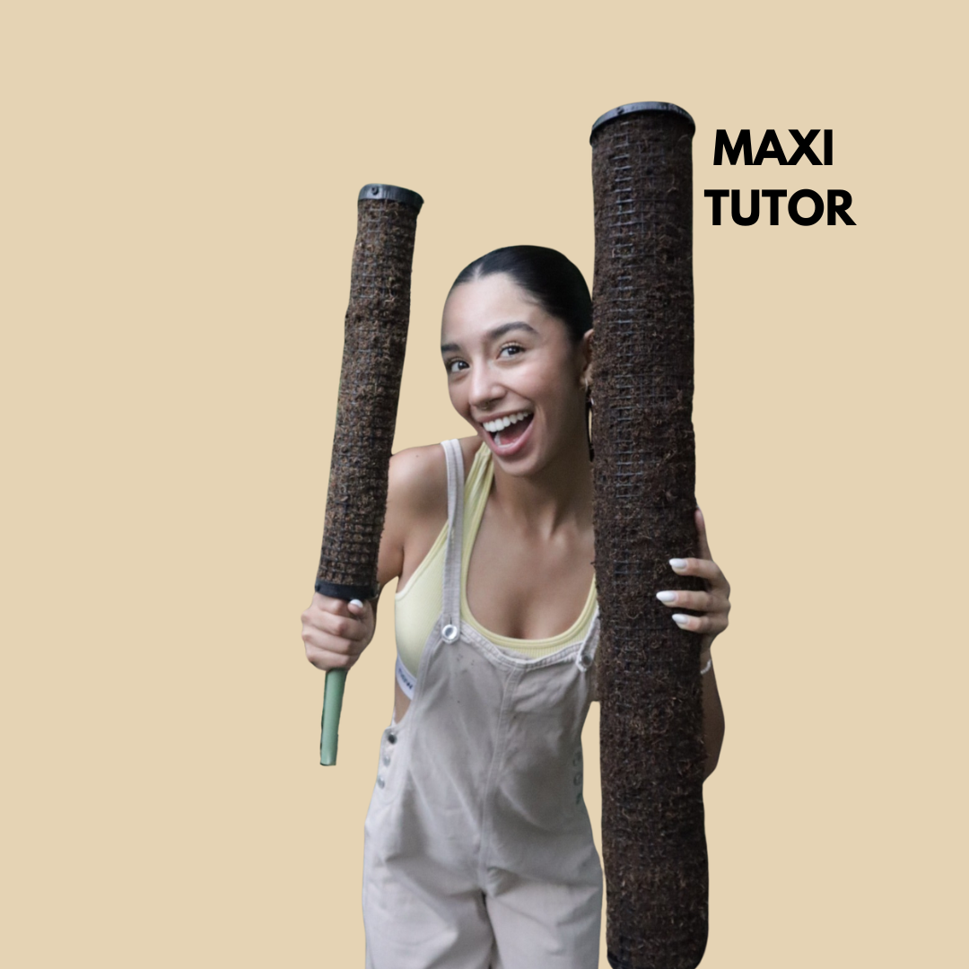 MaxiTutor Kit