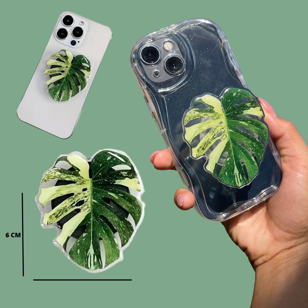Kit Doña Monstera