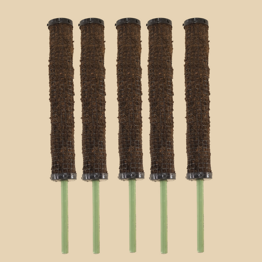 Tutores Pack 5