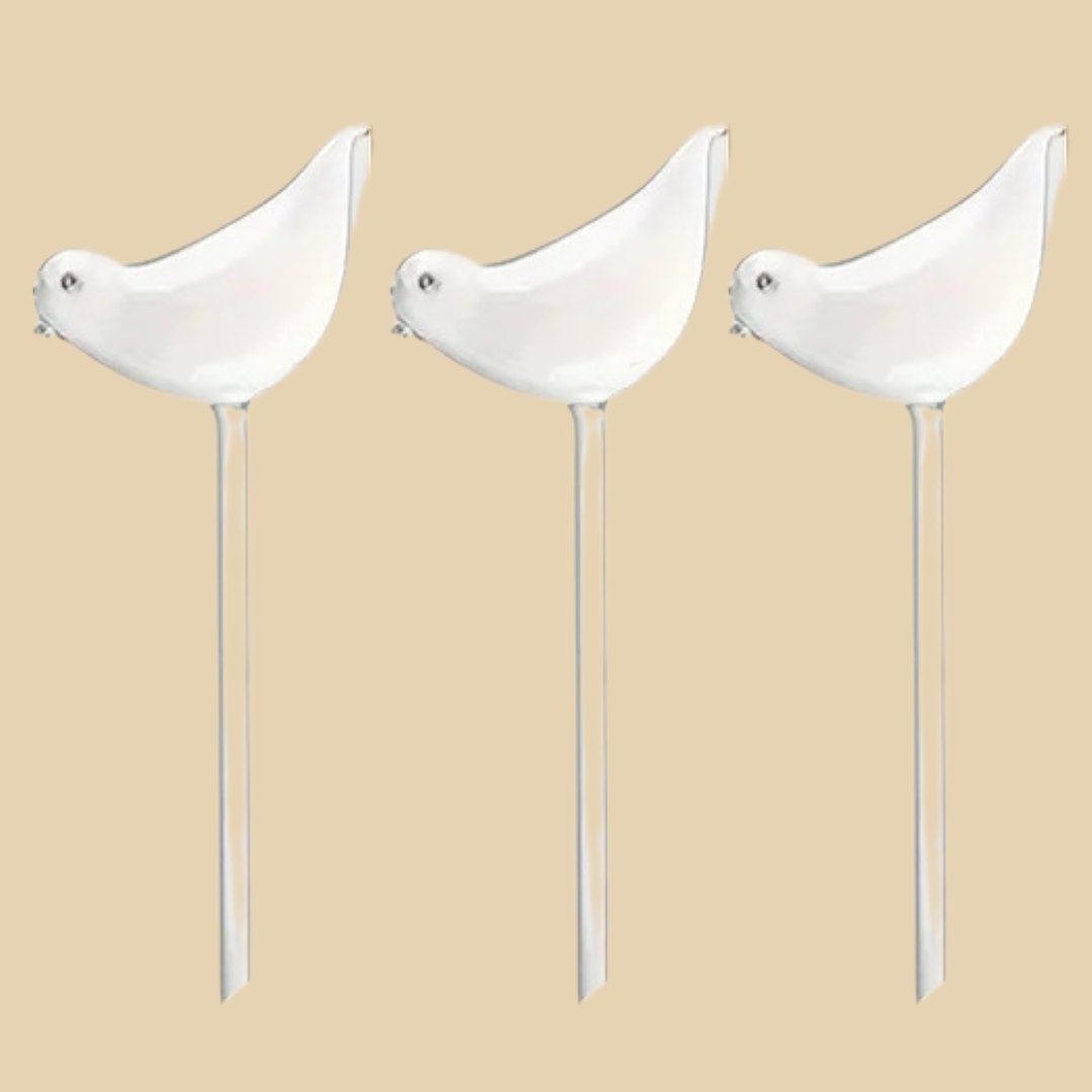 Kit Autorigo Pajaro