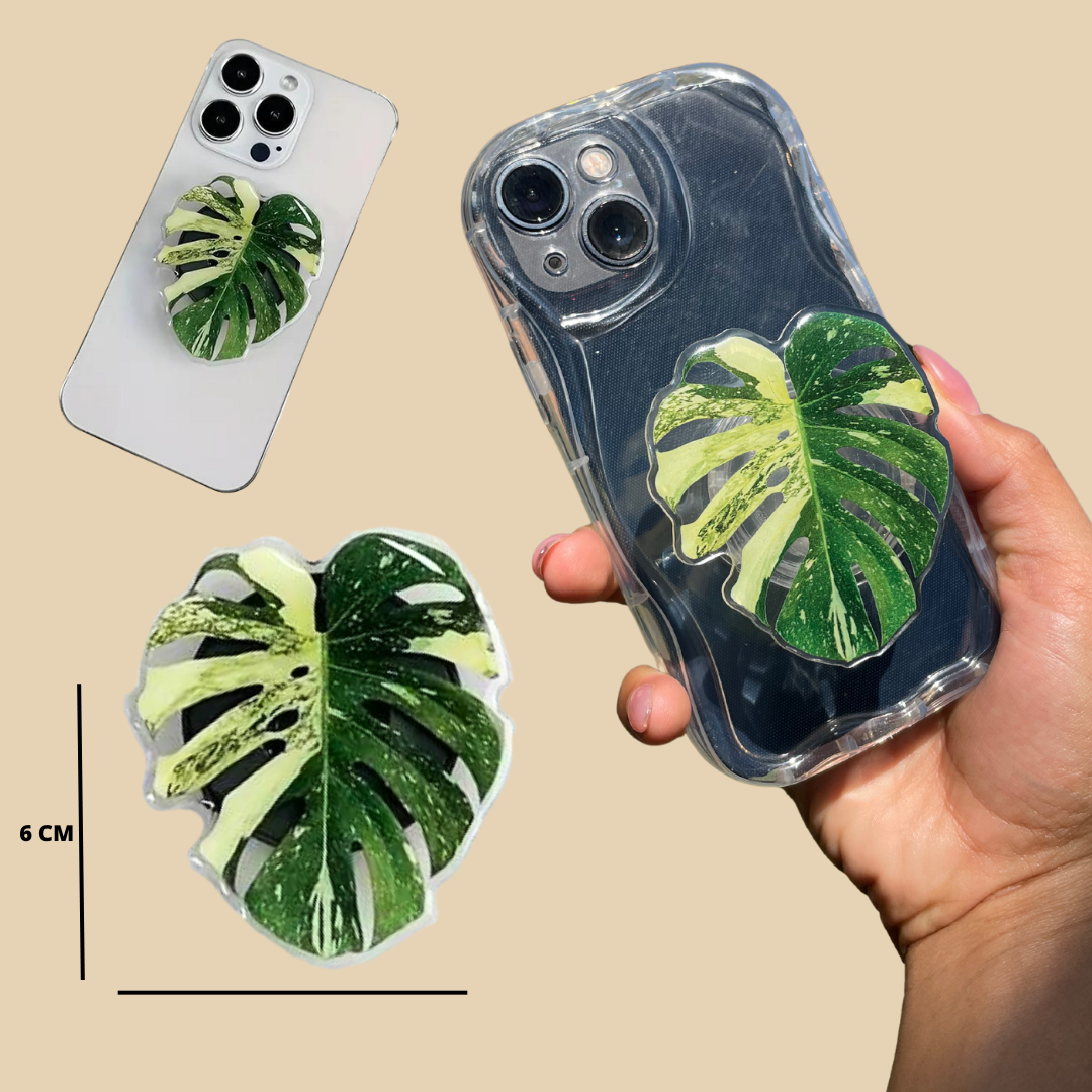 Kit Doña Monstera