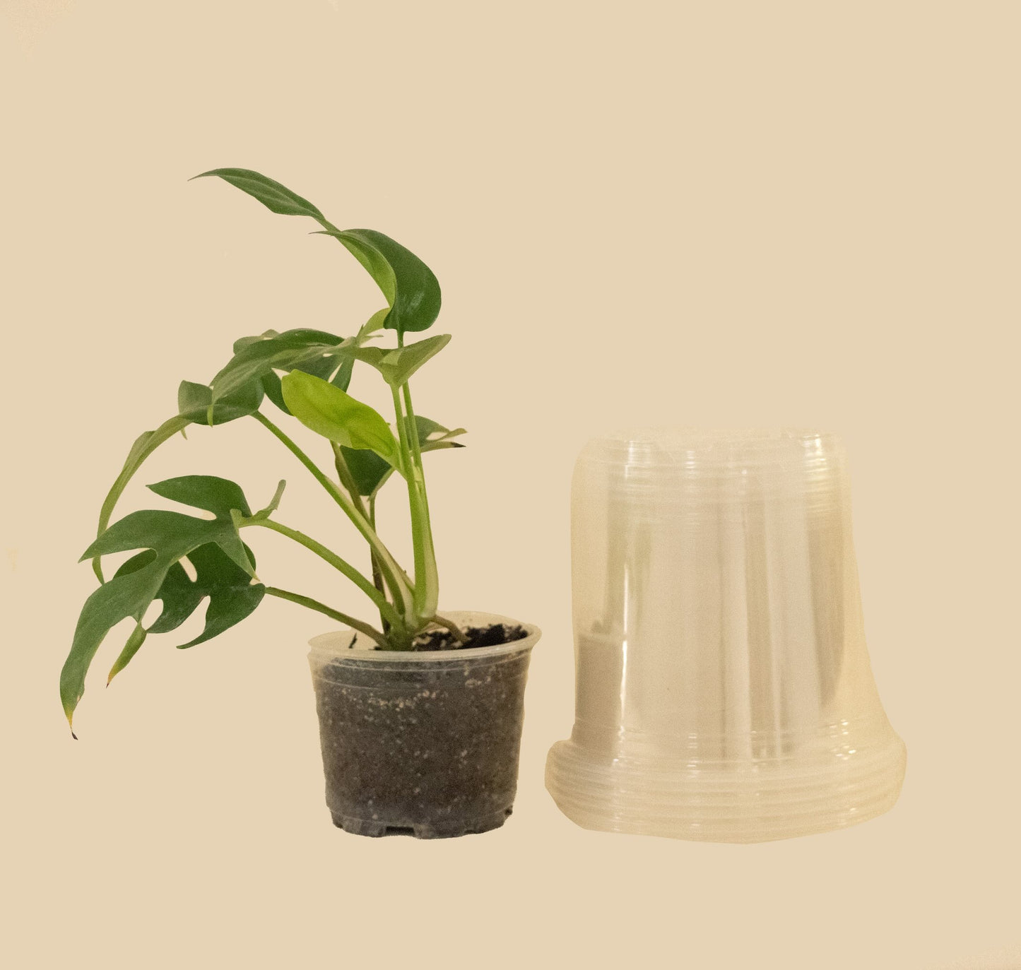 Set Macetas Plastico