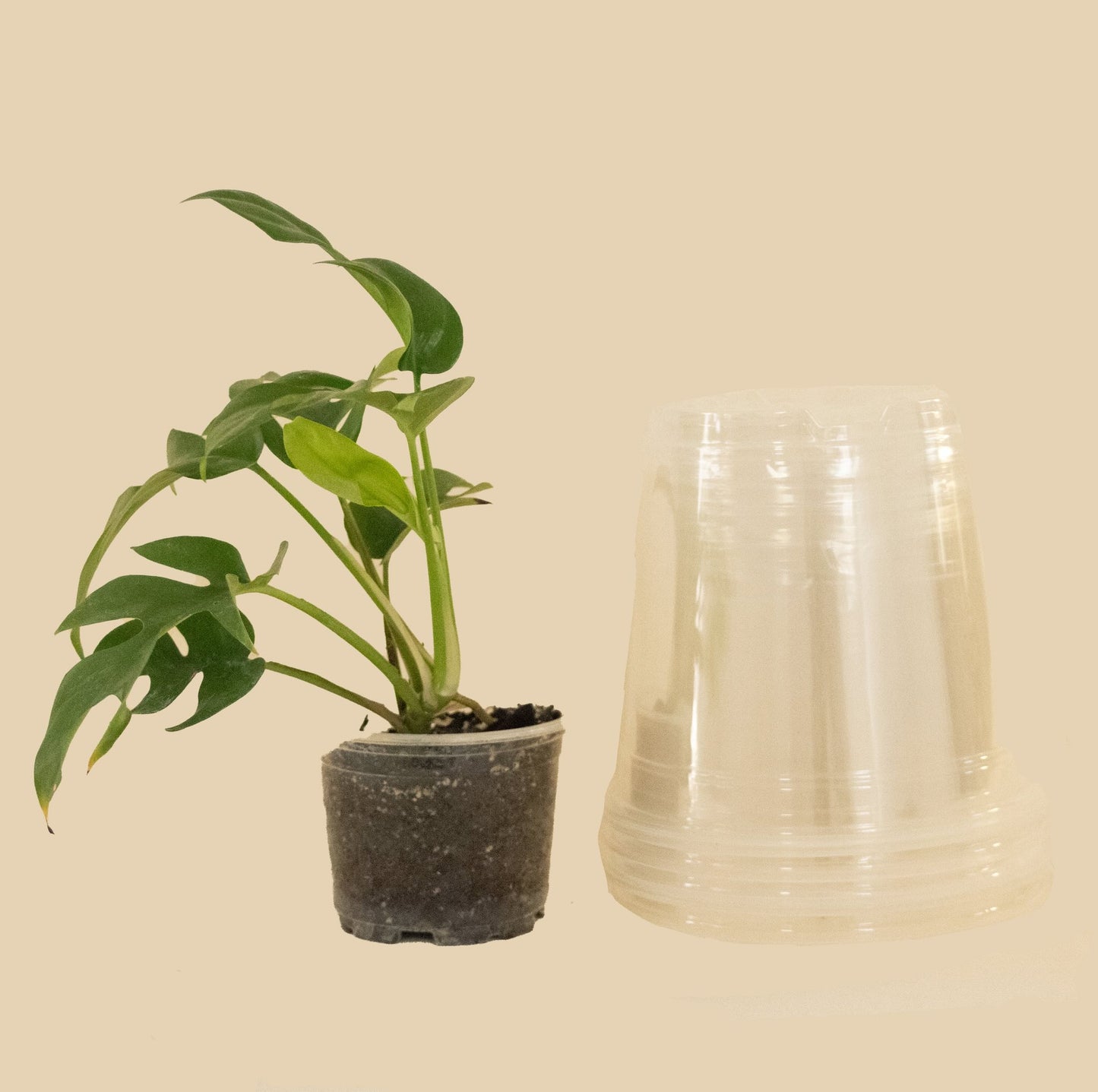 Set Macetas Plastico