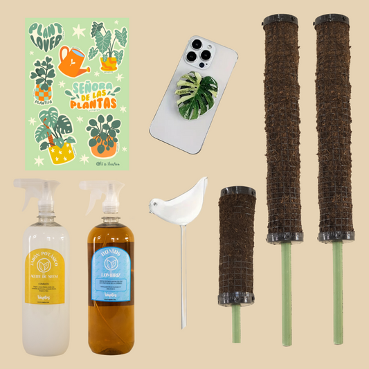 Kit Señora de las plantas