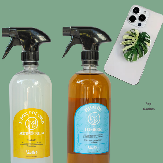 Kit Premium con pop soquet