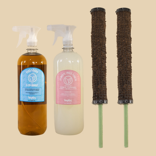Kit plantas hojas gigantes
