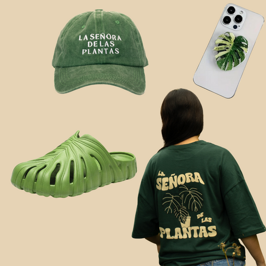 Kit Doña Monstera