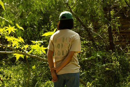 Playera Glosario Plantil