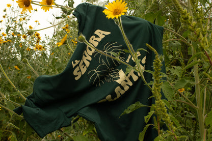 Playera  Señora Monstera