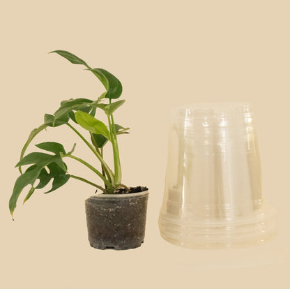 Set Macetas Plastico