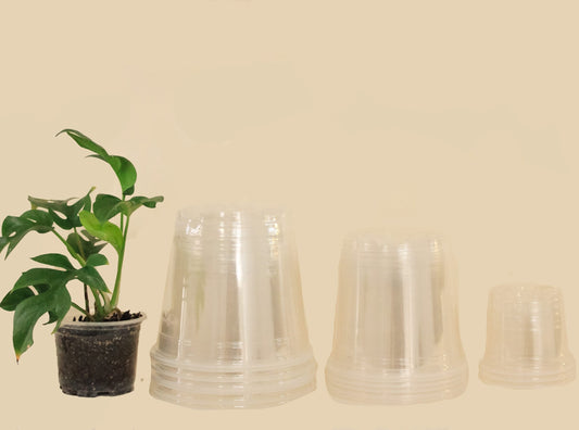 Set Macetas Plastico