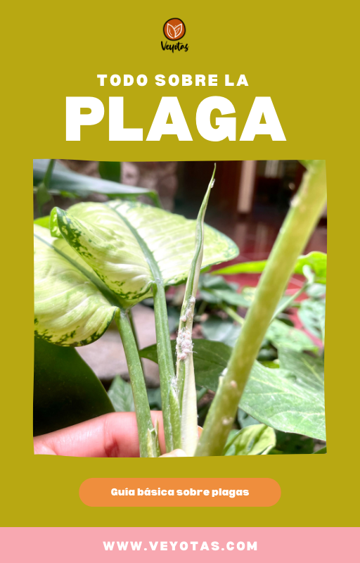 Ebook Plaga
