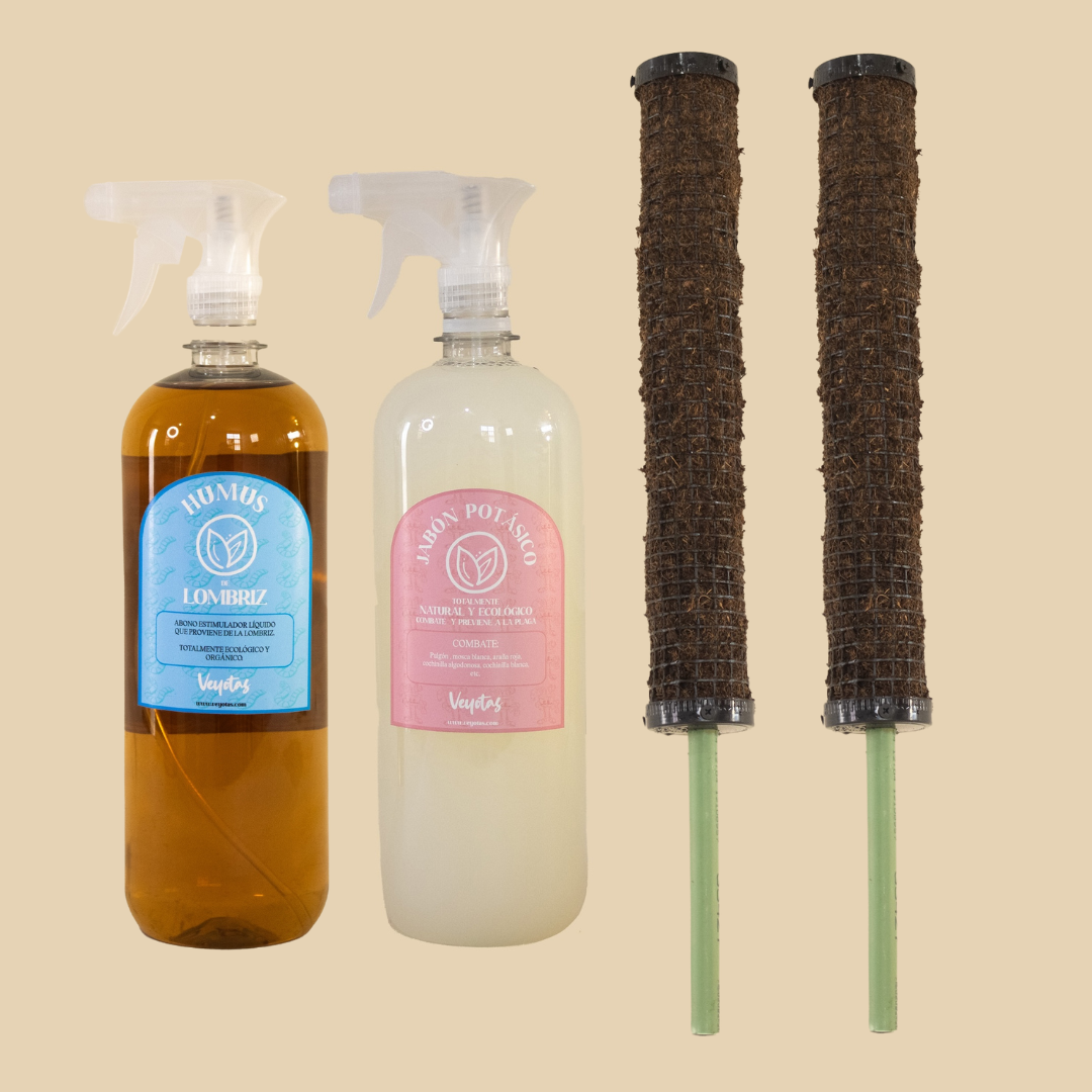 Kit plantas hojas gigantes